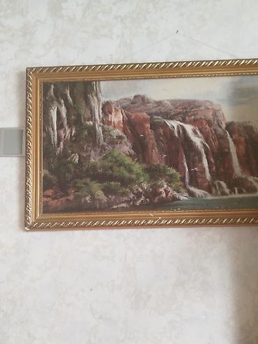 Tovuz quşları: Məhsul: Tovuzquşu (erkək) Təsvir: - Parlaq mavi boyun və döş, geniş — 7