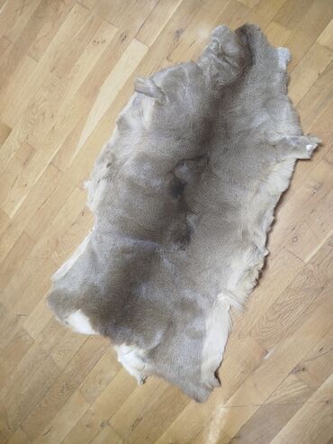 Yun: Təqdim olunan tebii ceyran dərisi əsasən açıq qəhvəyi və boz — 6