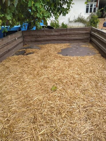 Traktorlar: Salam Real alıcılar bu nömrə ilə əlaqə saxlasın 0513015202 — 20