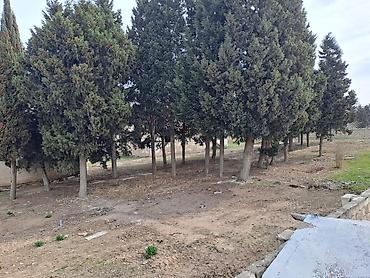 Torpaq sahələrinin satışı: 25 sot, Kupça (Çıxarış) — 25