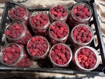 ягоды малины: Малина В розницу, Платная доставка