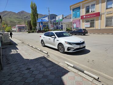 трактор мтз 80 1: Kia Optima: 2019 г., 2.4 л, Автомат, Бензин