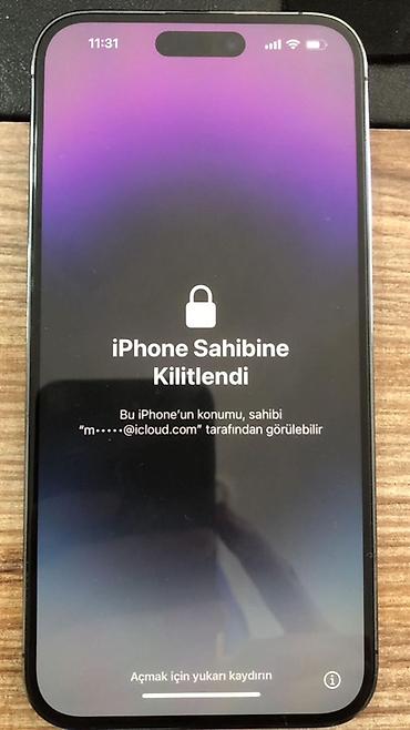 IPhone 14 Pro Max, Face ID