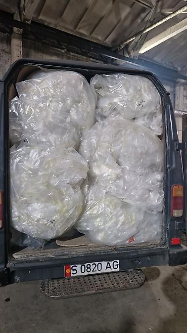 Прием пластика: Прием пластика, 2 - HDPE (ПВД) — 6