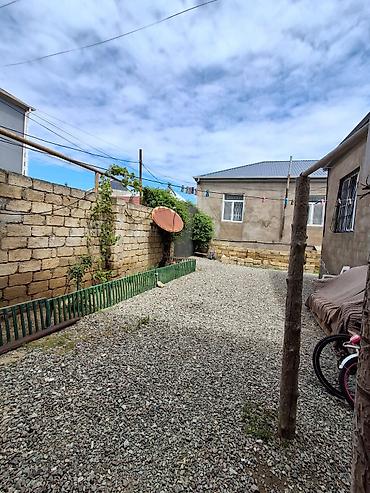 kendir: 120kvadrat çırağlı kənd tam orta məktəbin yanı 569un yolu araz — 3