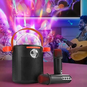 ddj flx4: 🎤 Микрофонная система ALPOWL для караоке — твоя вечеринка начинается — 4