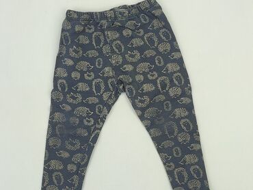 legginsy dziewczęce ocieplane: Leggings for kids, Zara, 2-3 years, 98, condition - Good