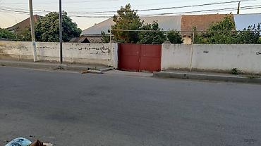 seki torpaq: 6 sot, Biznes üçün, Mülkiyyətçi, Kupça (Çıxarış) — 5