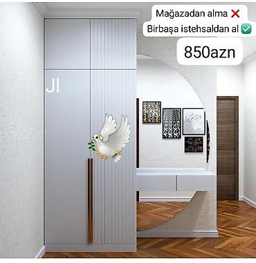 Dəhliz dolabları: Dəhliz dolabı yeni rəng seçimi — 1
