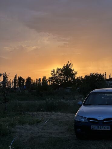 runx alex: Nissan Almera: 2002 г., 1.5 л, Механика, Бензин, Хэтчбэк
