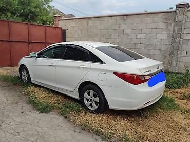 bmw 316: Hyundai Sonata: 2014 г., 2 л, Автомат, Газ, Седан — 2