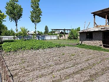 Продажа коттеджей и домов: 🏠 ПРОДАЁТСЯ ДОМ! 📍 г. Каинды, ул. Южная, 31 (Панфиловский район) 🏡 В — 3