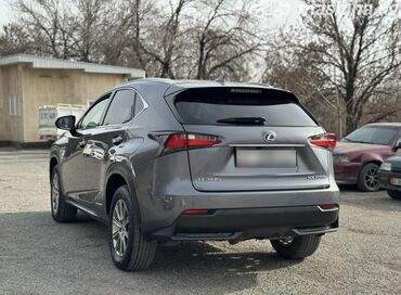 Lexus: Lexus NX: 2017 г., Гибрид, Кроссовер — 3