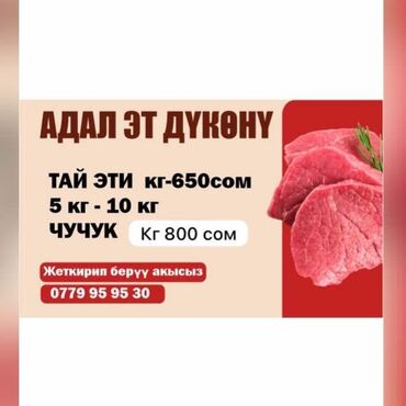 сейфы для денги: Халал мясо. - Тай эти (молодое конина) — 650 сом за кг. Предлагаются