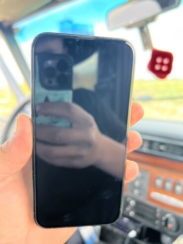Apple iPhone: IPhone 13 Pro, Б/у, 256 ГБ, Black Titanium, Зарядное устройство, Защитное стекло, Чехол, 83 %