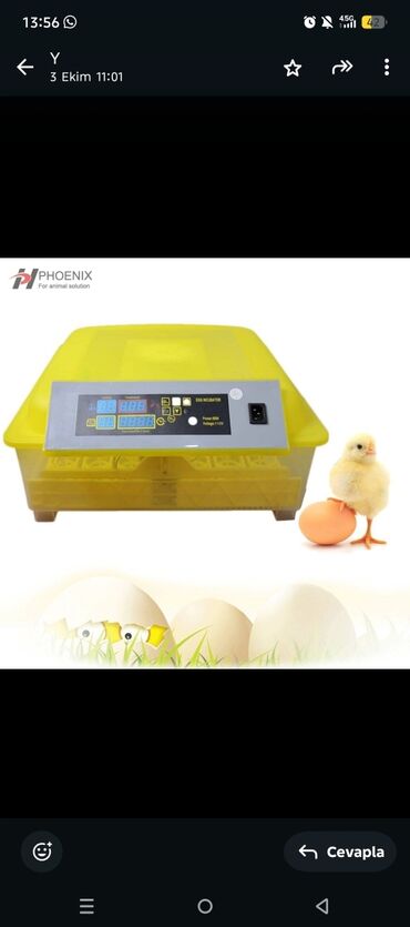 inkubator satışı: Phoenix yumurta inkubatoru - Rəqəmsal idarəetmə paneli: temperatur və