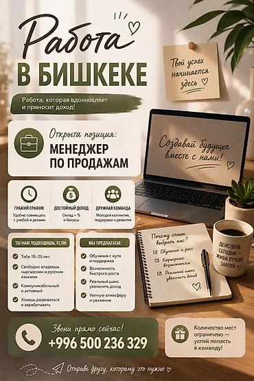 high experience: Вакансия: Продавец‑консультант / Менеджер по продажам Город: Бишкек — 3
