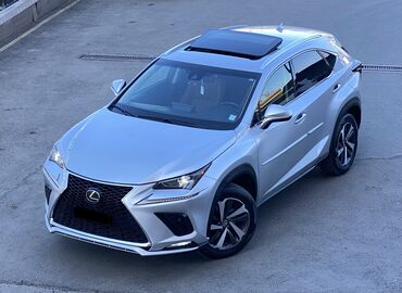 Lexus: Lexus NX: 2019 г., 2 л, Автомат, Бензин, Кроссовер