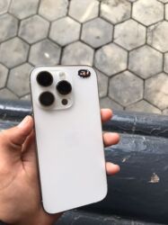 ipod nano 7: IPhone 14 Pro, Күмүш