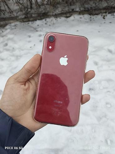 Apple iPhone: IPhone Xr, Б/у, 64 ГБ, Красный, Чехол, 85 % — 9