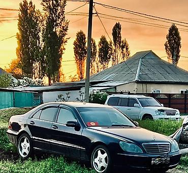 выбор номера о: Mercedes-Benz S-Class: 2004 г., 3.7 л, Автомат, Бензин, Седан — 9