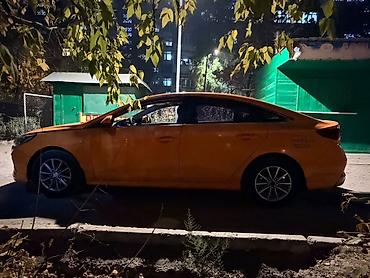 byd 5: Hyundai Sonata: 2019 г., 2 л, Автомат, Газ, Седан — 3