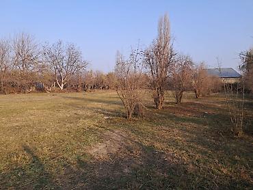Torpaq sahələrinin satışı: 25 sot — 6