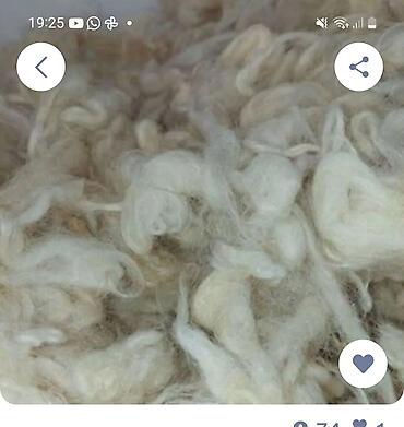 Təbii qoyun yunu – açıq krem-ağ rəngdə, lifləri yumşaq və elastik. Əl