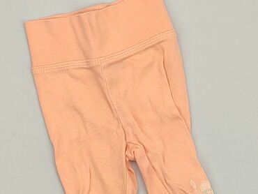 Sweatpants: Sweatpants, Lupilu, Newborn baby, condition - Very good