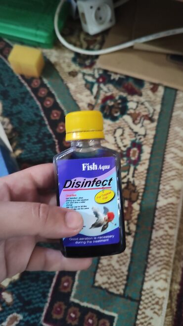 Akvariumlar: Dördbucaq akvarium, Balıqlarla birlikdə, 120 l, Ünvandan götürmə, Ödənişli çatdırılma, Rayonlara çatdırılma -da lalafo.az — 4 Akvariumlar: Dördbucaq akvarium, Balıqlarla birlikdə, 120 l, Ünvandan götürmə, Ödənişli çatdırılma, Rayonlara çatdırılma — 4