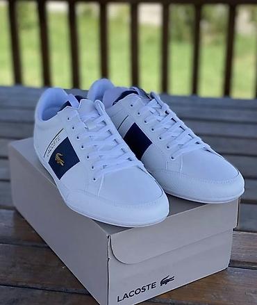 Личные вещи: Мужские кроссовки, 42.5, Lacoste, Новый, цвет - Белый, Самовывоз, Бесплатная доставка, Платная доставка — 1