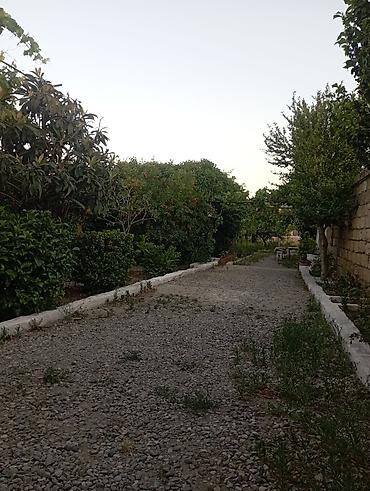 buzovnada torpaq: 6 sot, Biznes üçün, Mülkiyyətçi, Kupça (Çıxarış) — 7