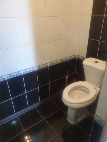 сдается дом без хозяина шопокове гавриловке романовке: 41 м², 1 комната, Подвал, погреб, Забор, огорожен