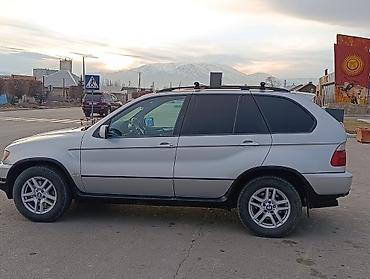 20 лет: BMW X5: 2002 г., 3 л, Автомат, Дизель, Кроссовер — 6