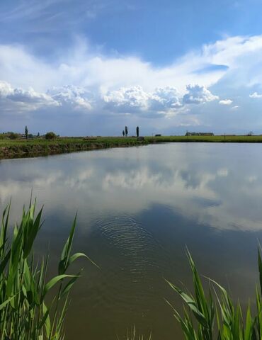 Продажа участков: 600 соток, Для бизнеса, Красная книга — 4