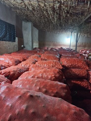 Картошка: Картошка Пикассо — 5