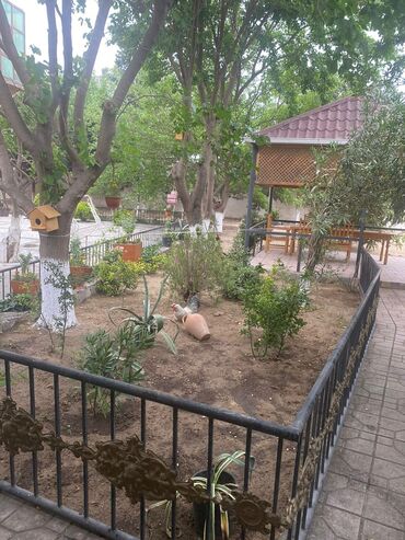 Bağ evlərinin satışı: Bakı, Görədil, 500 kv. m, 6 otaqlı, Hovuzlu, Artezian quyusu, Su, Qaz -da lalafo.az — 7 Bağ evlərinin satışı: Bakı, Görədil, 500 kv. m, 6 otaqlı, Hovuzlu, Artezian quyusu, Su, Qaz — 7