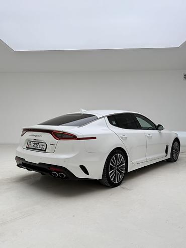 Kia: Kia Stinger: 2019 г., 2.2 л, Автомат, Дизель, Хэтчбэк — 23