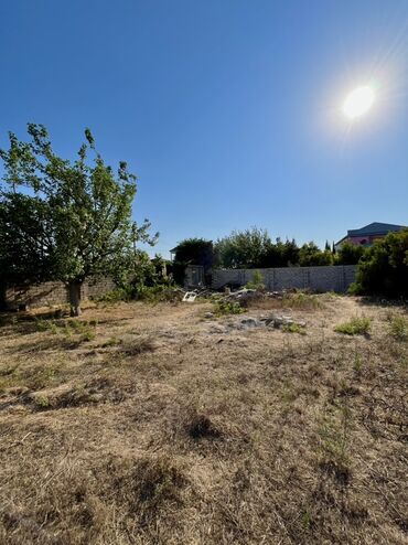 недвижимость в баку купить: 10 sot, Biznes üçün, Kupça (Çıxarış)