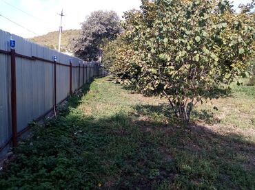 Torpaq sahələrinin satışı: 10 sot -da lalafo.az — 6 Torpaq sahələrinin satışı: 10 sot — 6