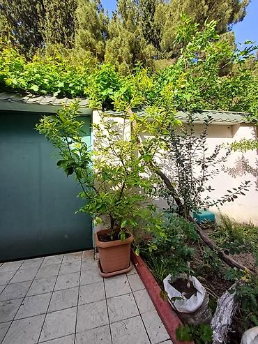 berde kiraye evler: 8 otaq, 360 kv. m, Kredit yoxdur, Orta təmir — 6