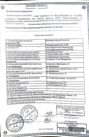озимый: Сорт -" Век" Семена пшеницы -озимая Характеристики по протоколу — 3
