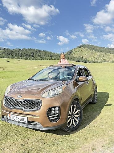 2109 фаркоп: Kia Sportage: 2016 г., 2.4 л, Автомат, Бензин, Кроссовер — 1