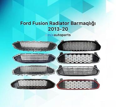 radiator barmağlığı: Ford Fusion — 3