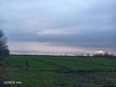 Torpaq sahələrinin satışı: 200 sot, Kənd təsərrüfatı, Texniki pasport — 1