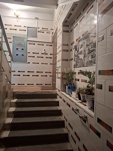 Квартиры: 3 комнаты, 5 м², Золотой квадрат Индивидуалка, 2 этаж, Косметический ремонт — 3