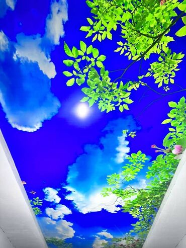 Натяжной потолок: Натяжной потолок 3D потолки, Глянцевое, Матовое Бесплатная консультация, Бесплатный замер, Гарантия — 25