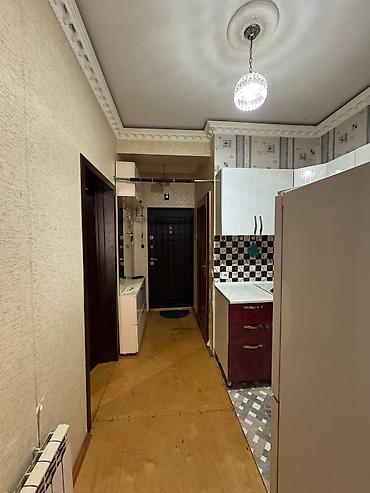berde kiraye ev: 2 otaqlı, Yeni tikili, 42 kv. m — 8