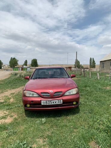 ниссан х трейл в бишкеке: Nissan Primera: 2000 г., 1.6 л, Механика, Бензин, Седан