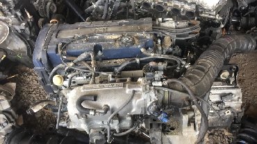 портер кант: Автозапчасти Кант F20b cf4 синий двигатель